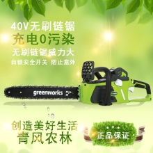 QFNL 格力博 40V无刷链锯 电锯 伐木锯 家用 电链锯（一电一充）