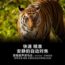 索尼 (SONY) FE 200-600mm F5.6-6.3 G OSS 全画幅超远摄变焦G镜头 (SEL200600G)