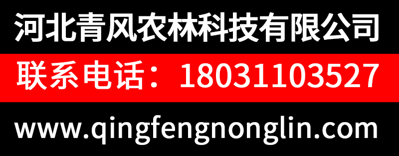 网上商城广告.jpg