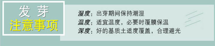 QQ截图20210930101219.png