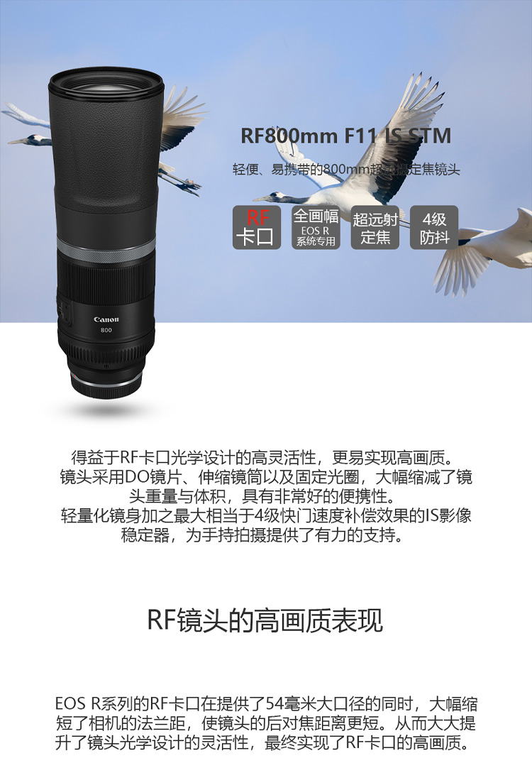 详情-01.jpg