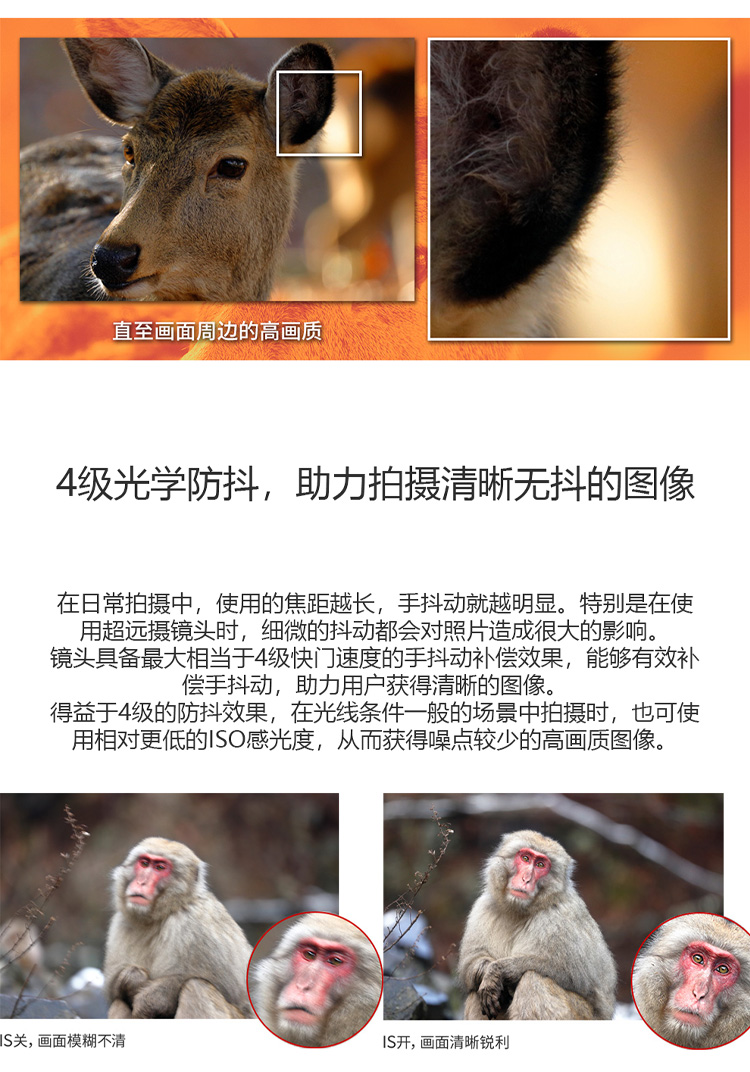详情-02.jpg